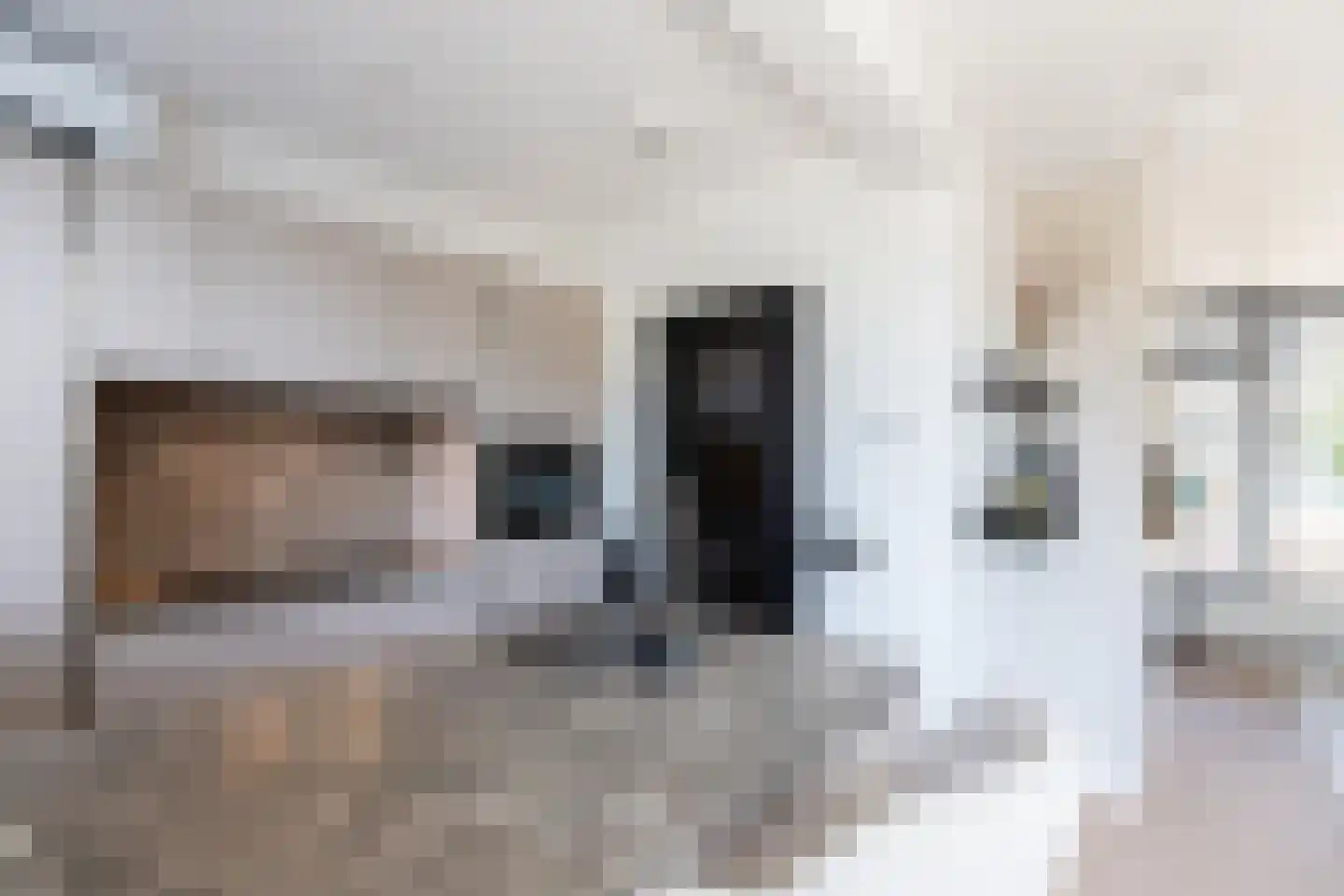 van Lennepstraat 16 Papendrecht thumbnail 10