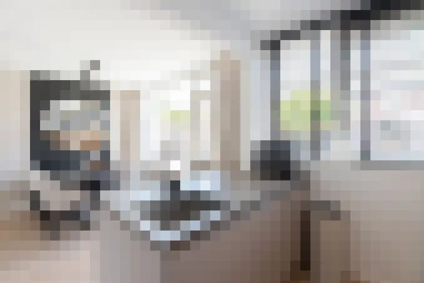 van Lennepstraat 16 Papendrecht thumbnail 11