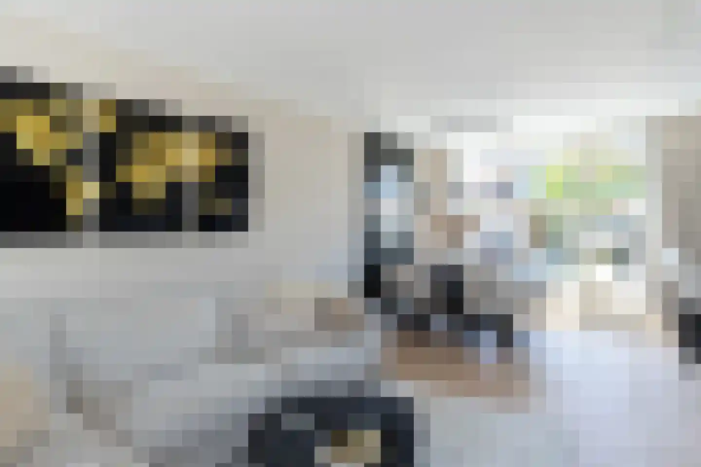 van Lennepstraat 16 Papendrecht thumbnail 7