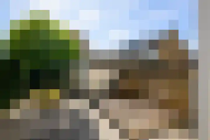 van Lennepstraat 16 's-Gravenzande thumbnail 11