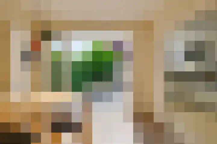 van Lennepstraat 16 's-Gravenzande thumbnail 6