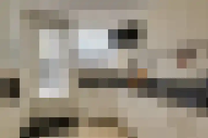 van Lennepstraat 16 's-Gravenzande thumbnail 9