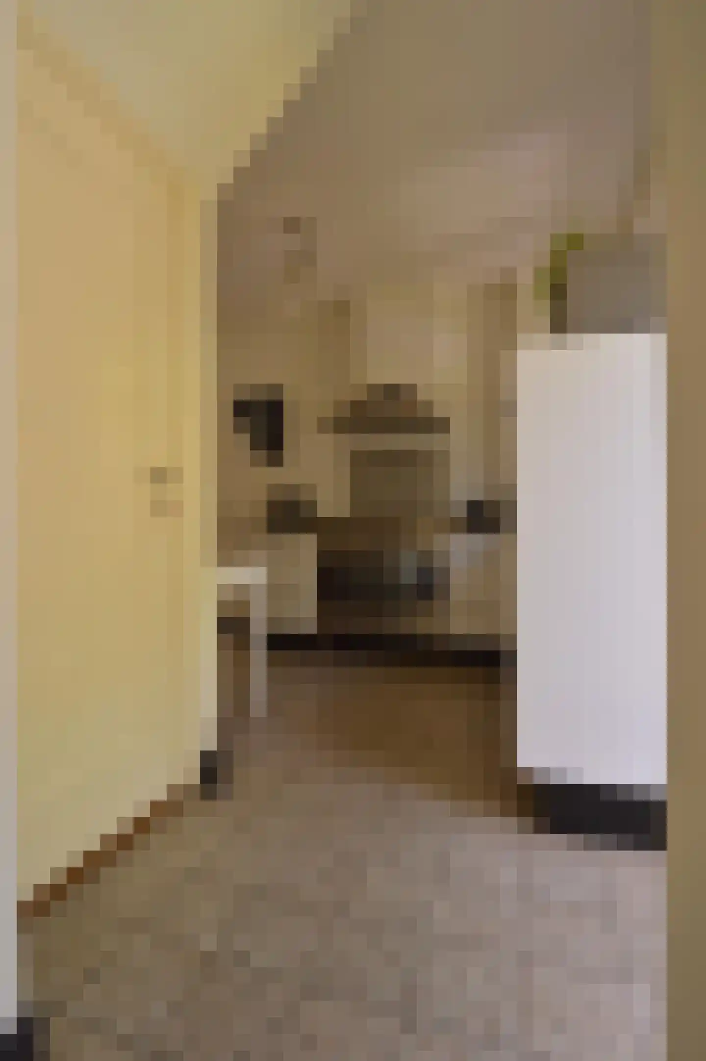 Van Lennepstraat 19 Heerlen thumbnail 24