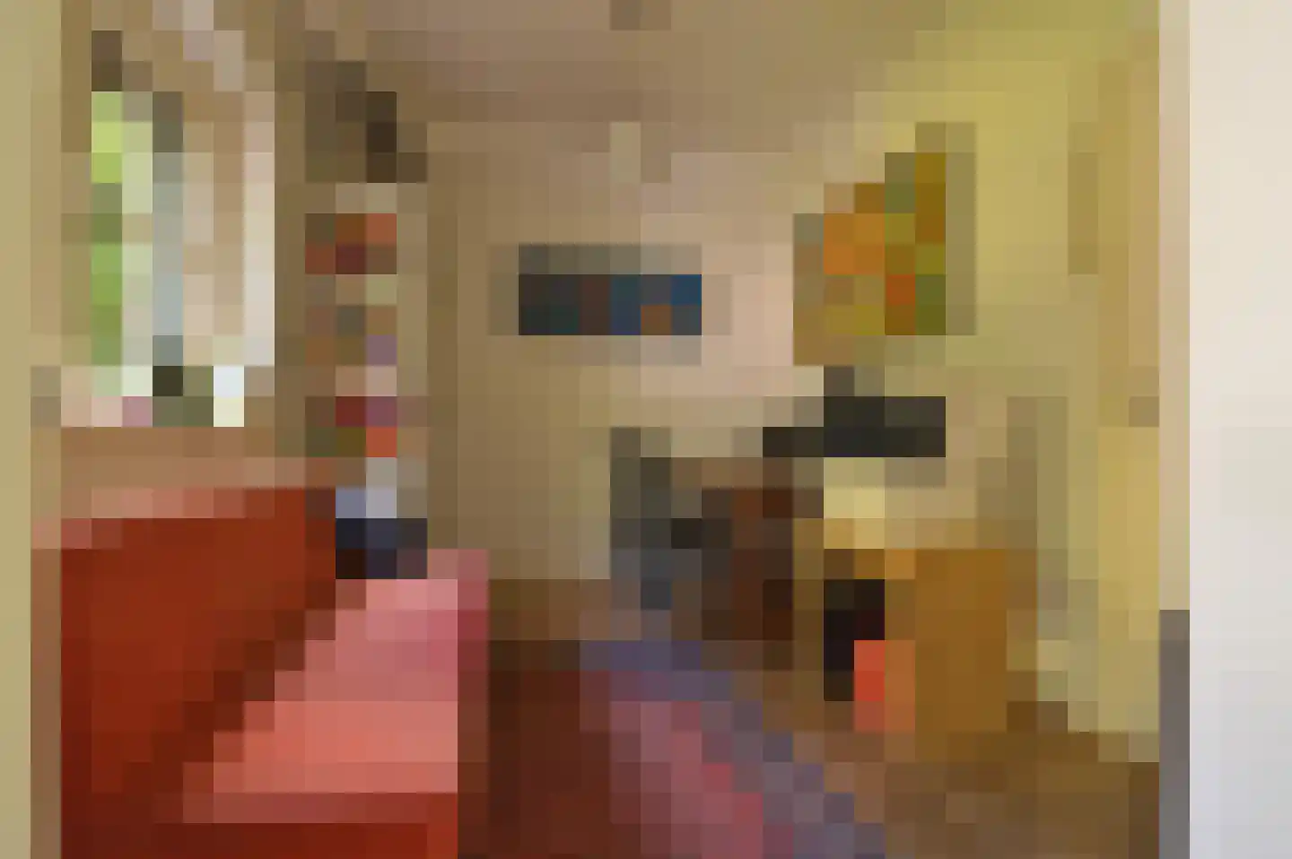 Van Lennepstraat 19 Heerlen thumbnail 25
