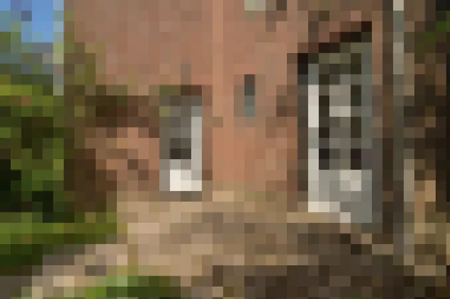 Van Lennepstraat 19 Heerlen thumbnail 7