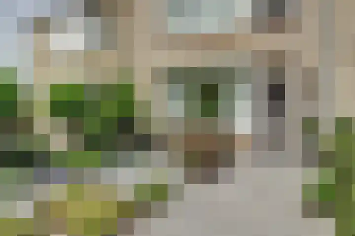 Van Lennepstraat 22 Oosterhout thumbnail 37