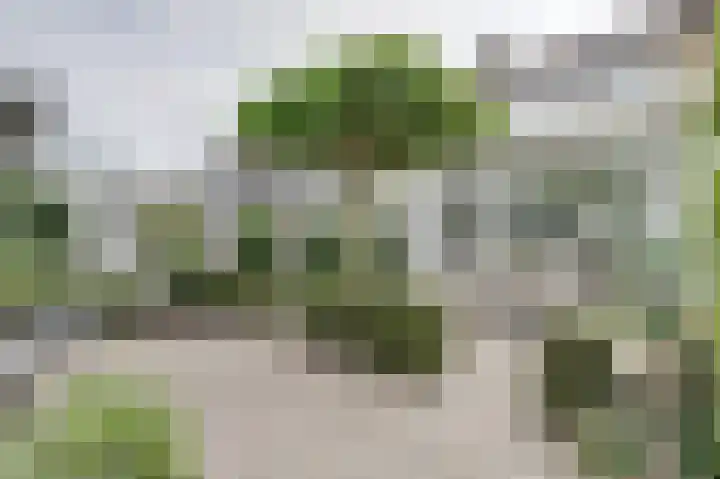 Van Lennepstraat 22 Oosterhout thumbnail 6