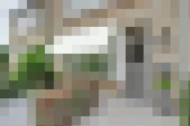 Van Lennepstraat 22 Oosterhout thumbnail 7