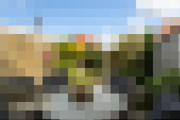van Lennepstraat 23 's-Gravenzande thumbnail 25