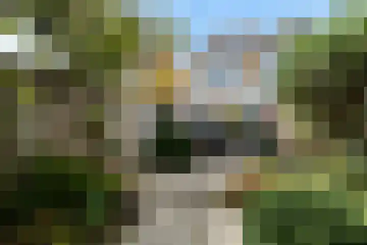 van Lennepstraat 23 's-Gravenzande thumbnail 31