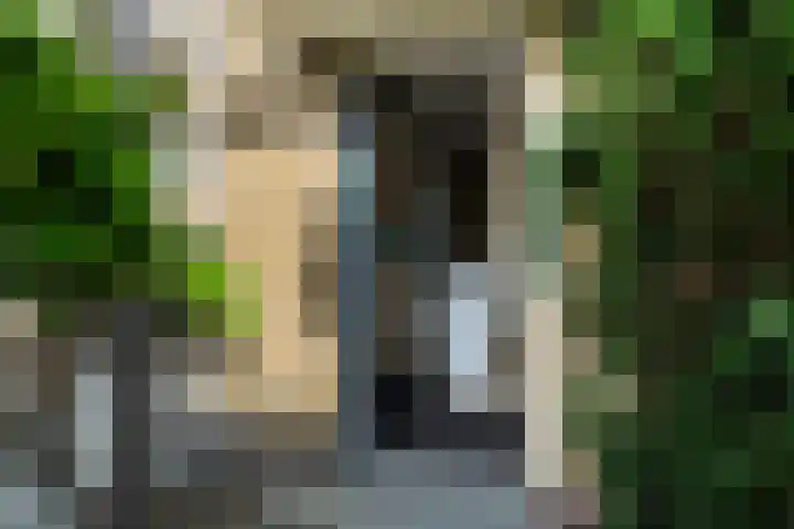 van Lennepstraat 23 's-Gravenzande thumbnail 58