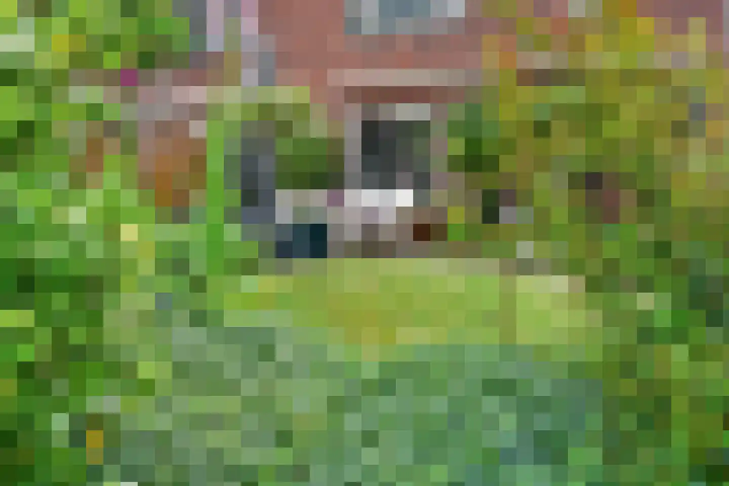 Van Lennepstraat 24 Heerlen thumbnail 38