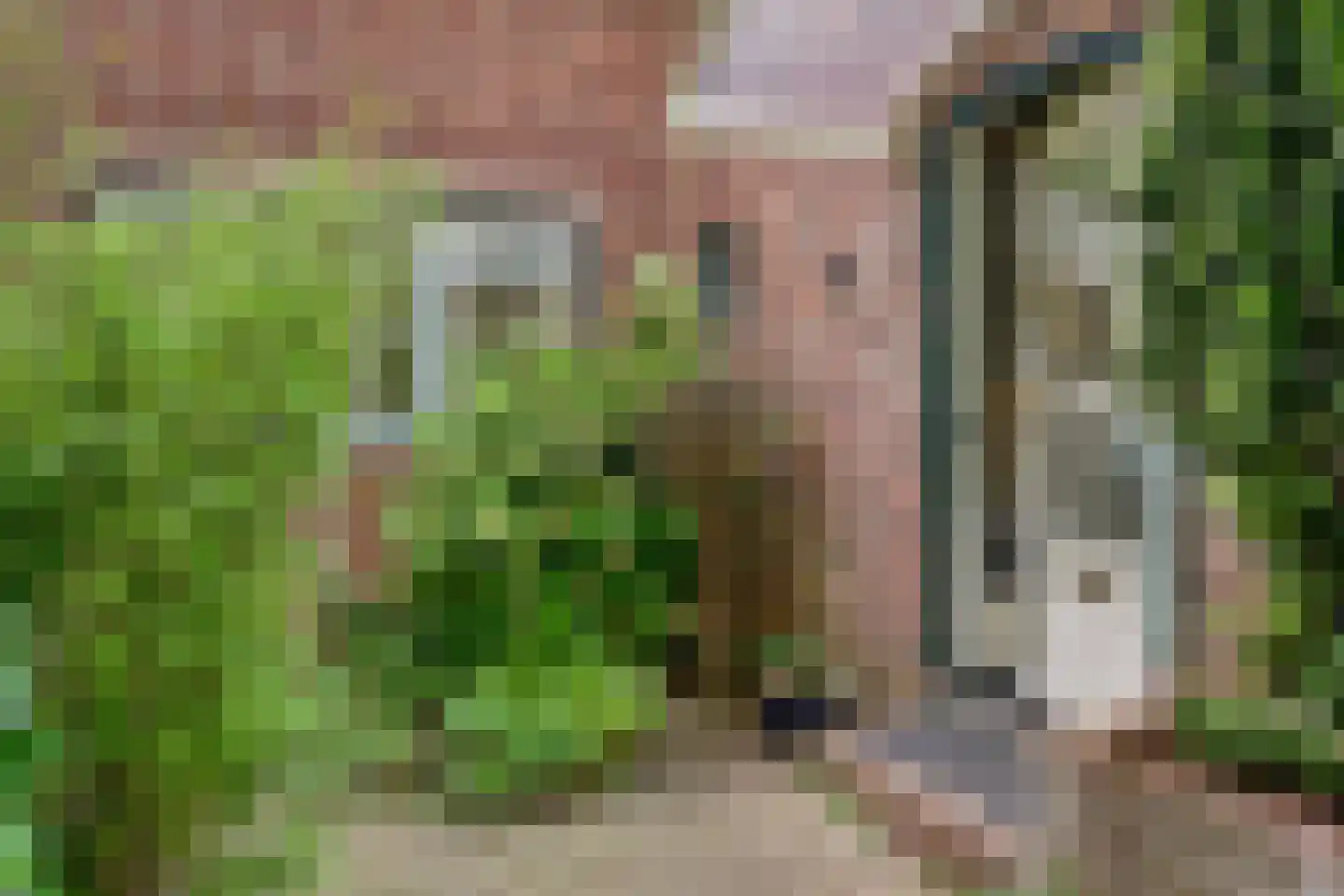 Van Lennepstraat 24 Heerlen thumbnail 5