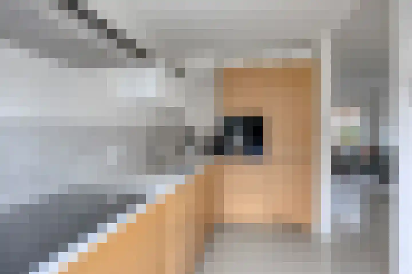 Van Lennepstraat 24 Zwolle thumbnail 15