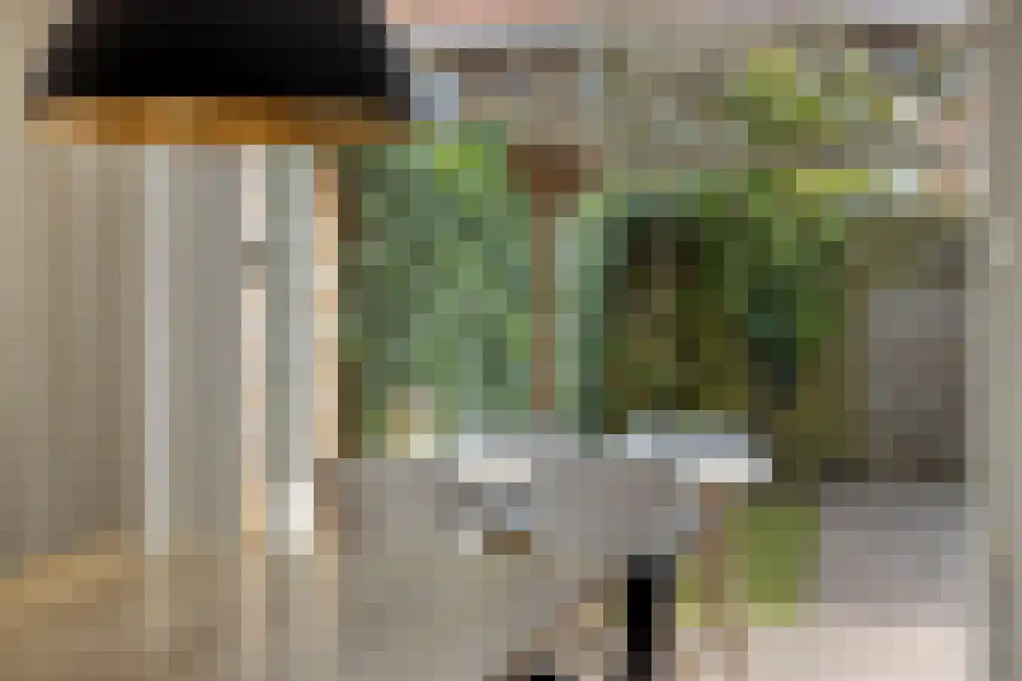 Van Lennepstraat 24 Zwolle thumbnail 19