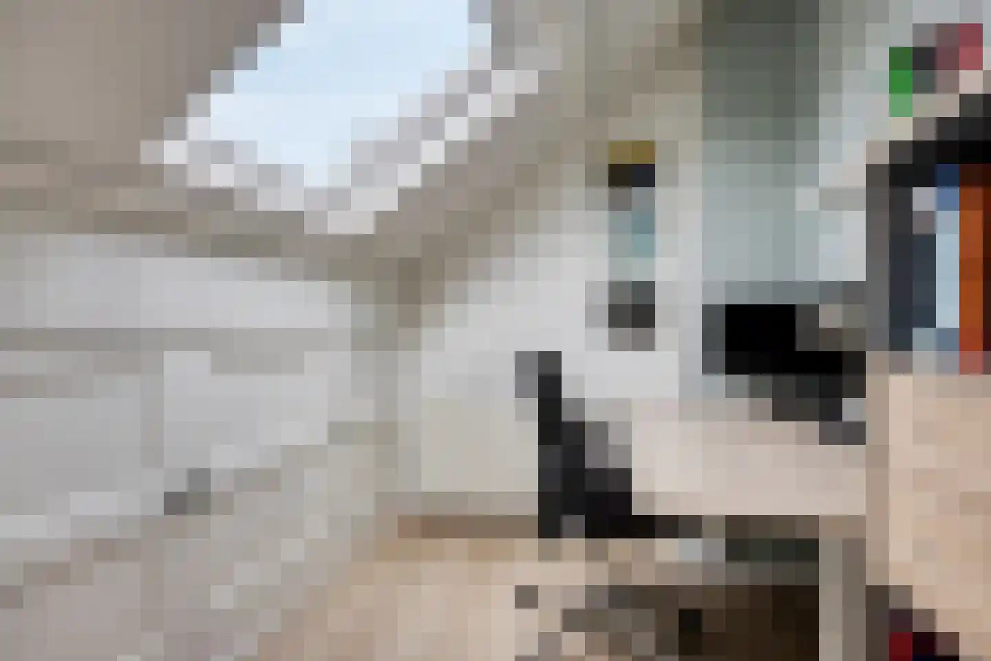 Van Lennepstraat 24 Zwolle thumbnail 32