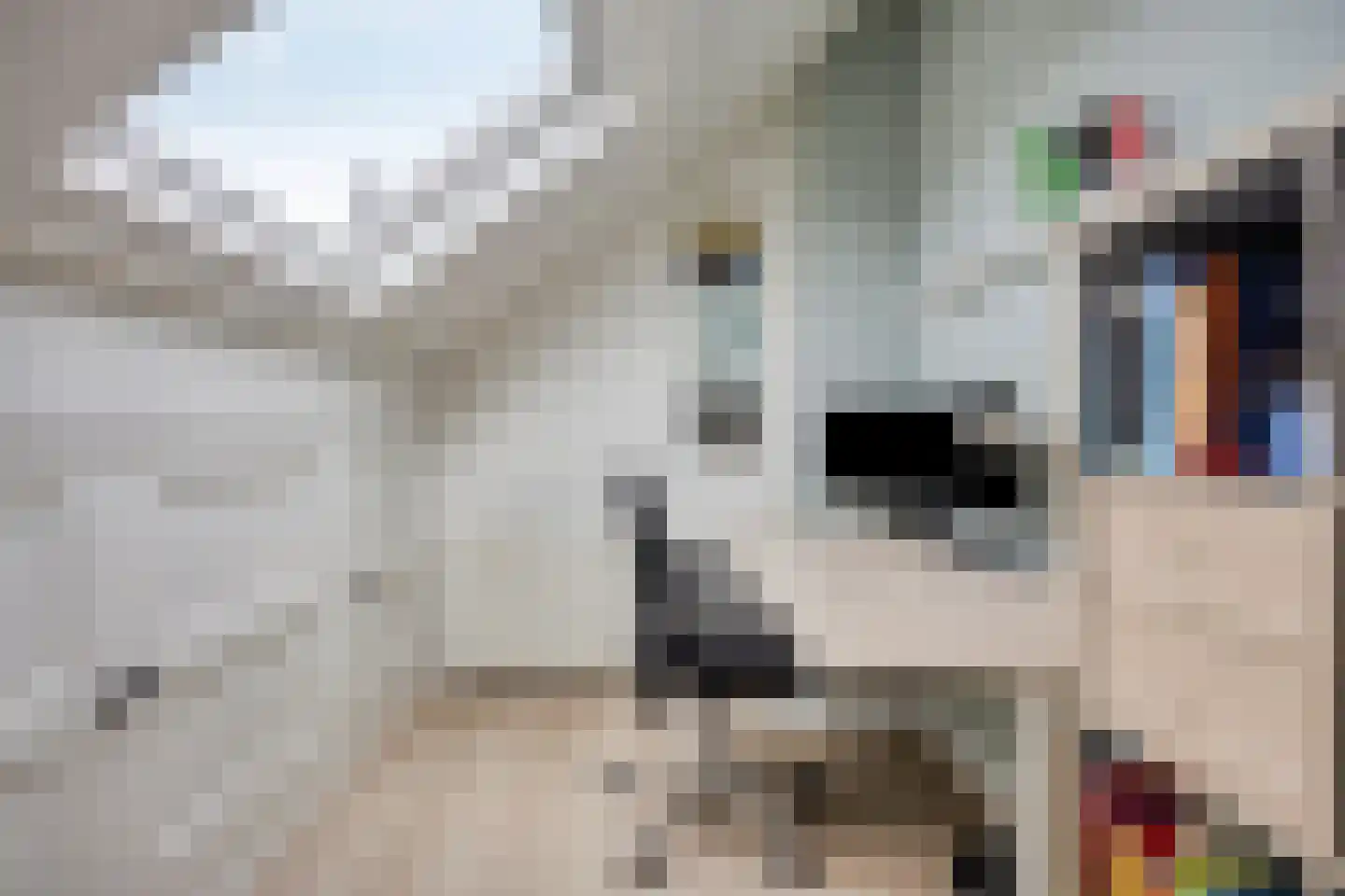 Van Lennepstraat 24 Zwolle thumbnail 33
