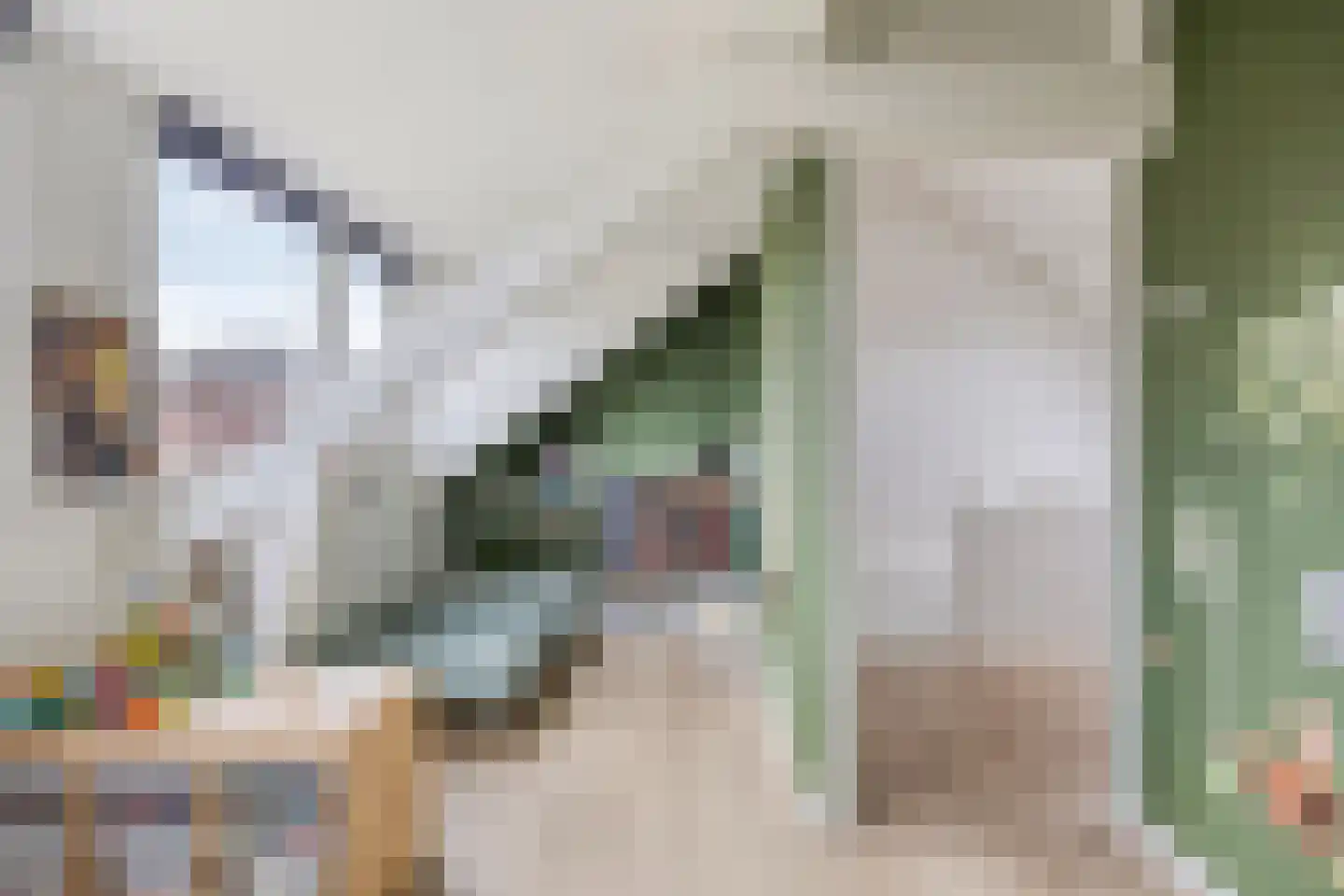 Van Lennepstraat 24 Zwolle thumbnail 34