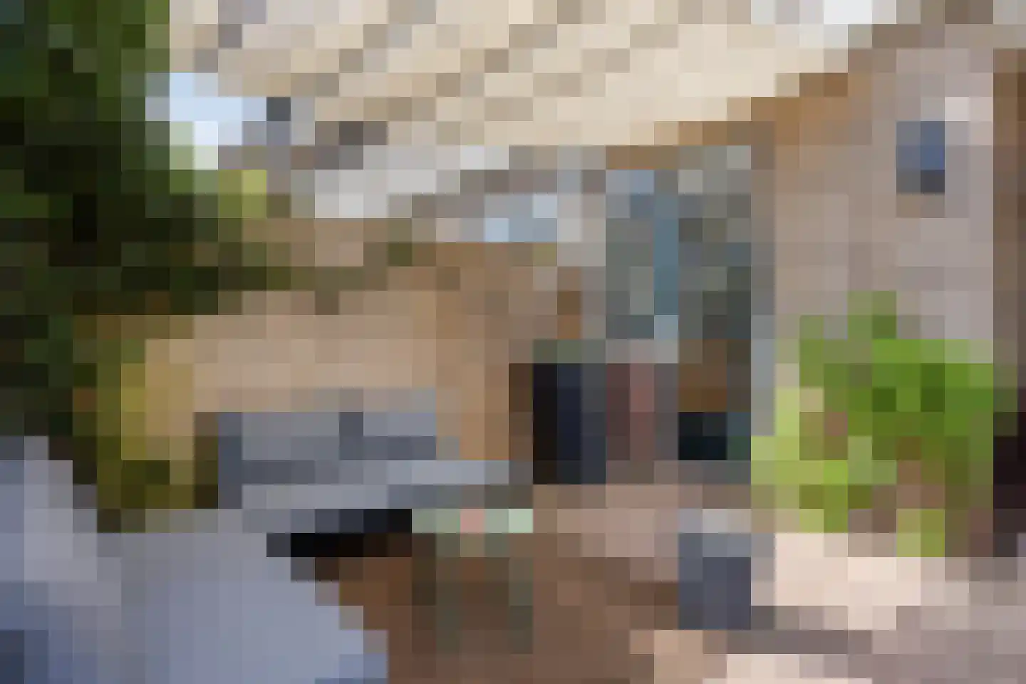 Van Lennepstraat 24 Zwolle thumbnail 36