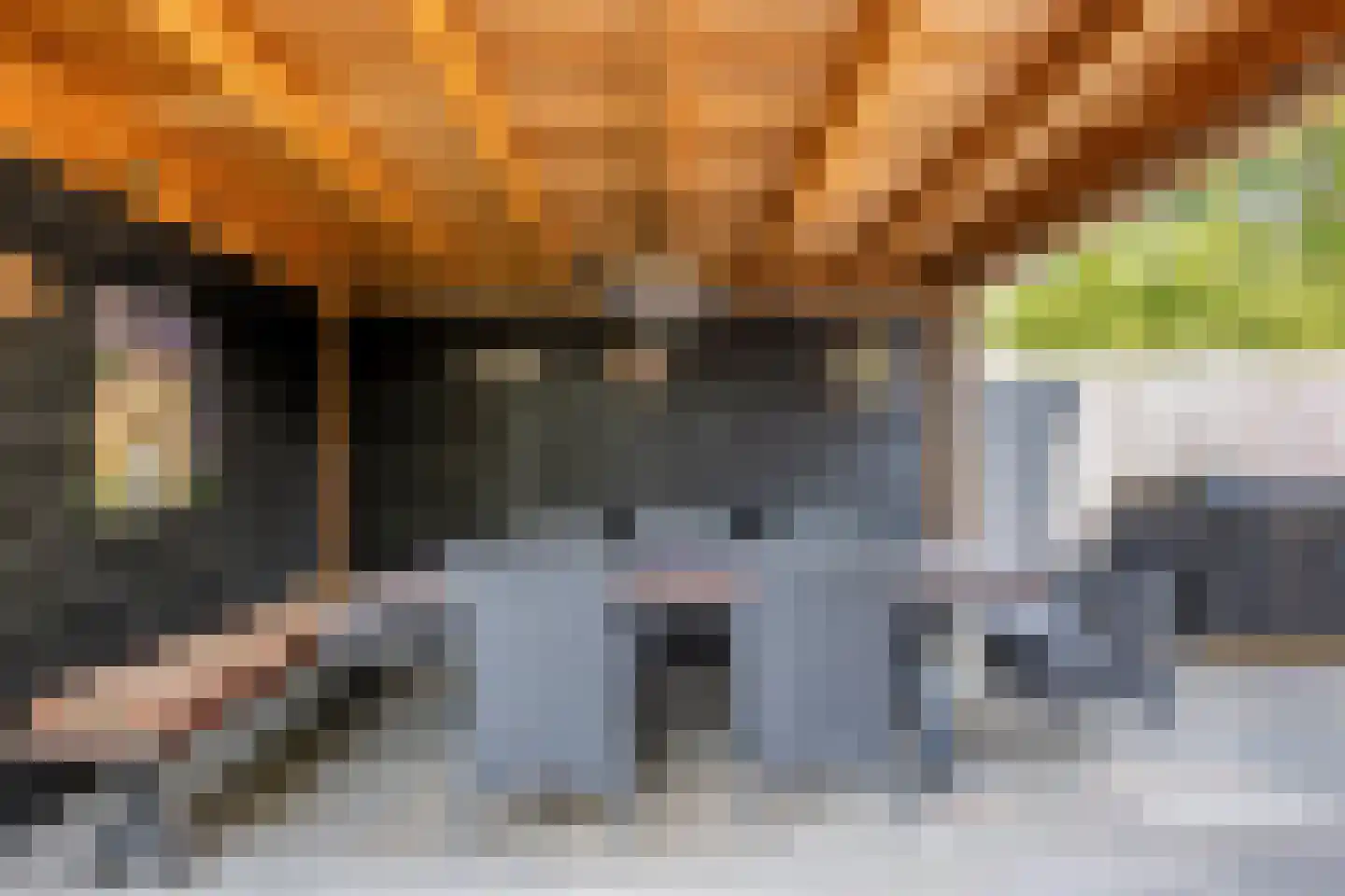 Van Lennepstraat 25 Alblasserdam thumbnail 36
