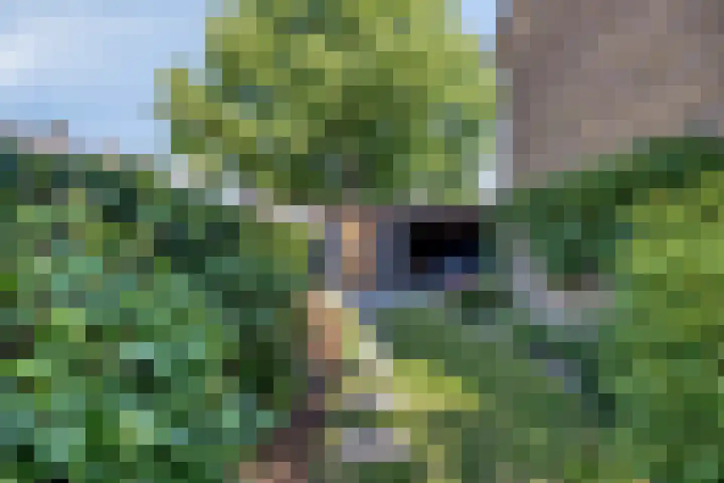 Van Lennepstraat 25 Alblasserdam thumbnail 38