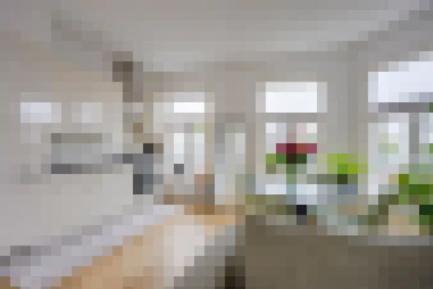 Van Lennepstraat 28 W Utrecht thumbnail 17