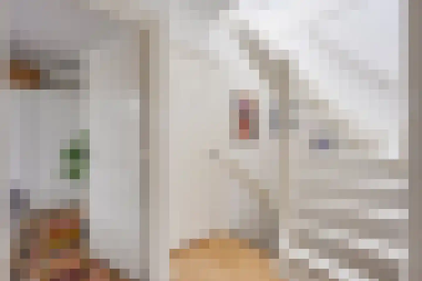 Van Lennepstraat 28 W Utrecht thumbnail 22