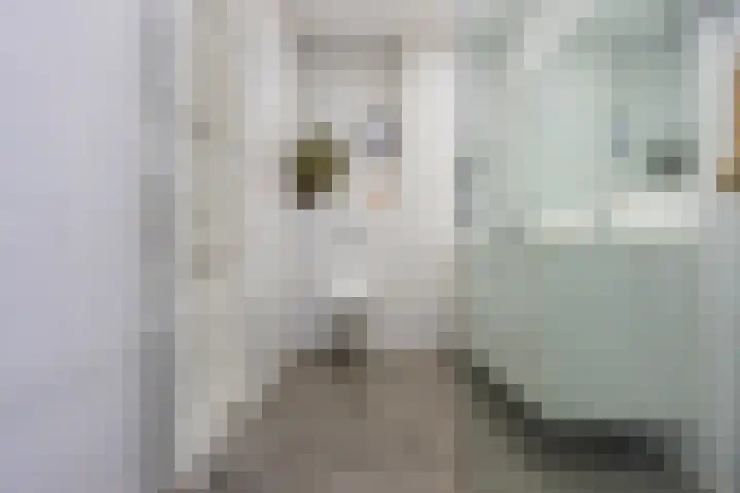 Van Lennepstraat 28 W Utrecht thumbnail 26