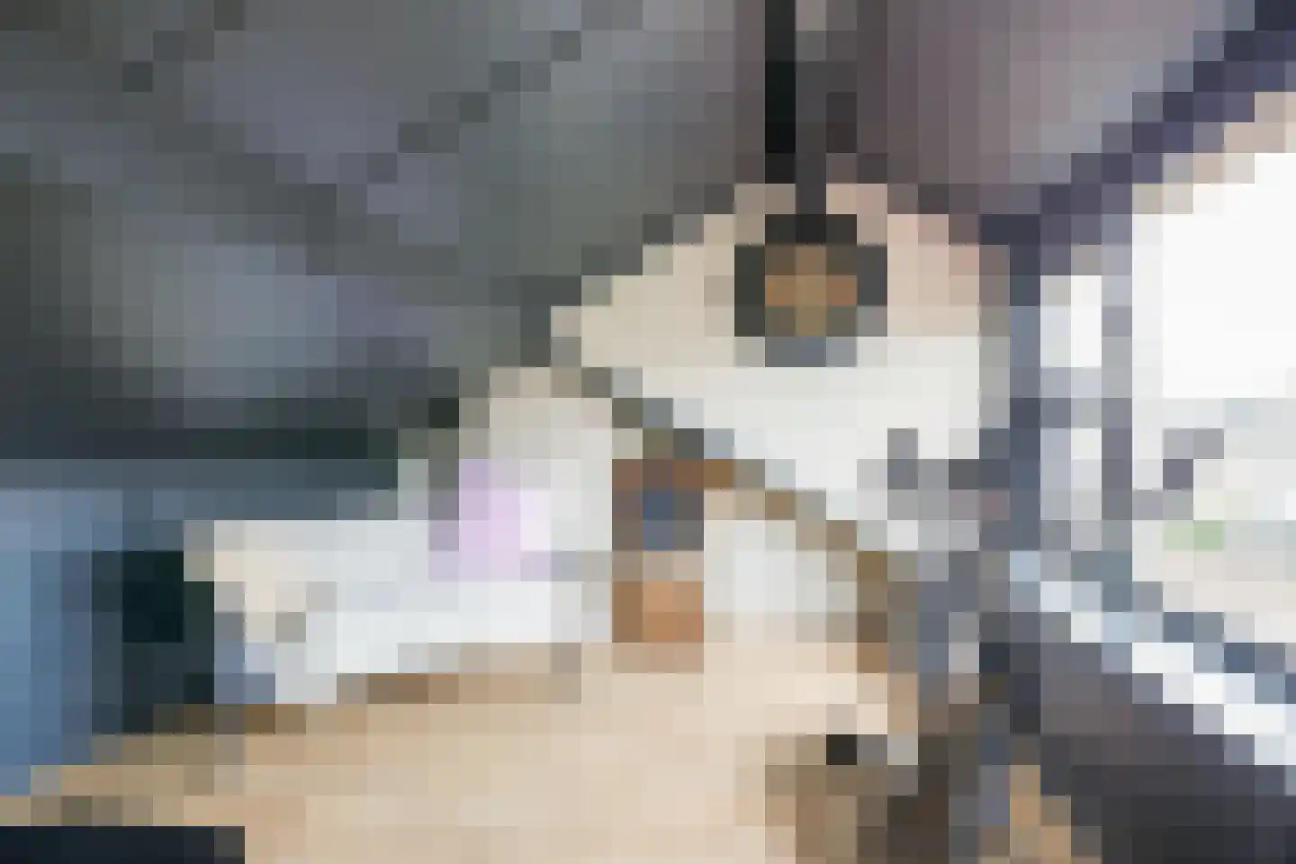 Van Lennepstraat 3 Harderwijk thumbnail 28