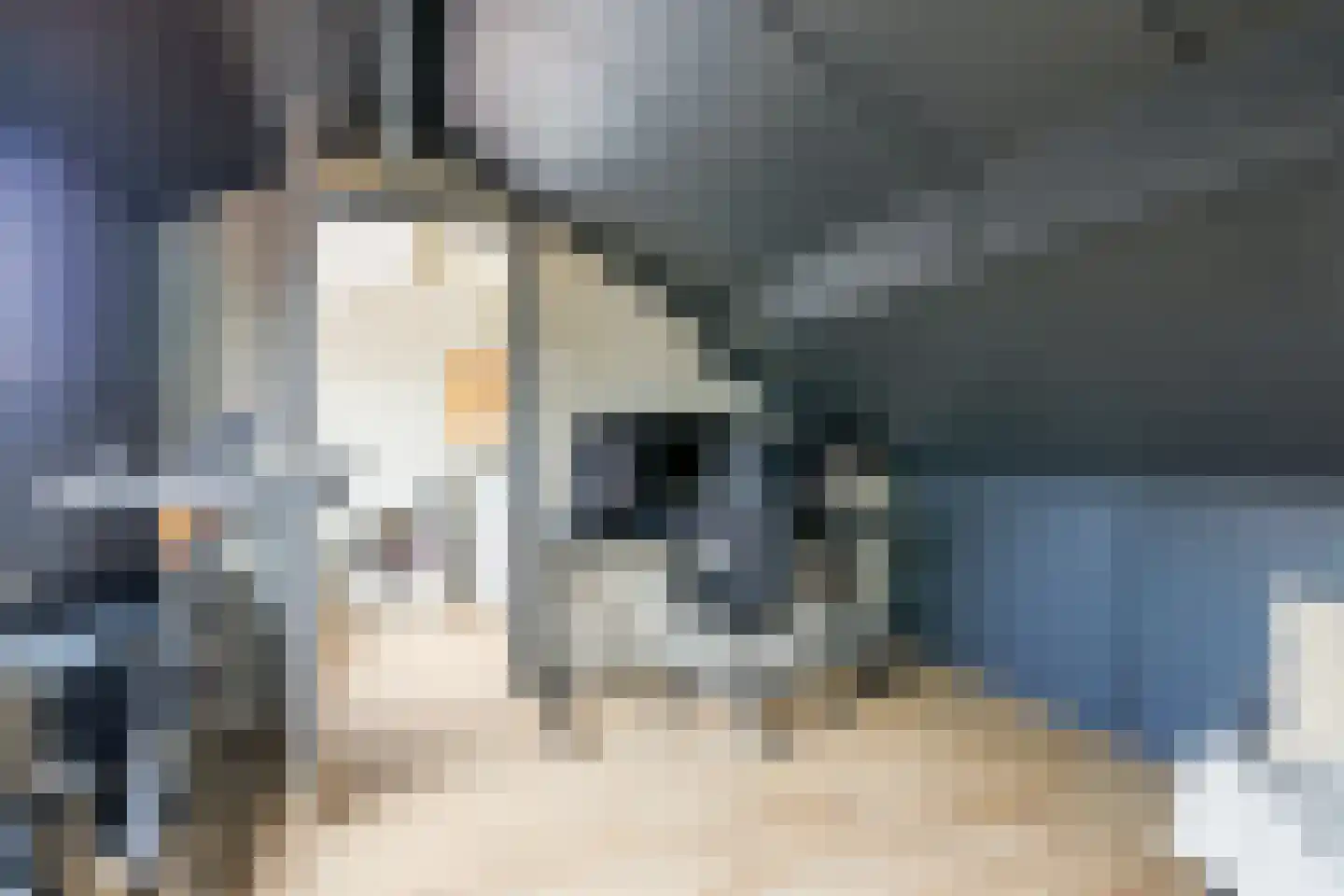 Van Lennepstraat 3 Harderwijk thumbnail 29