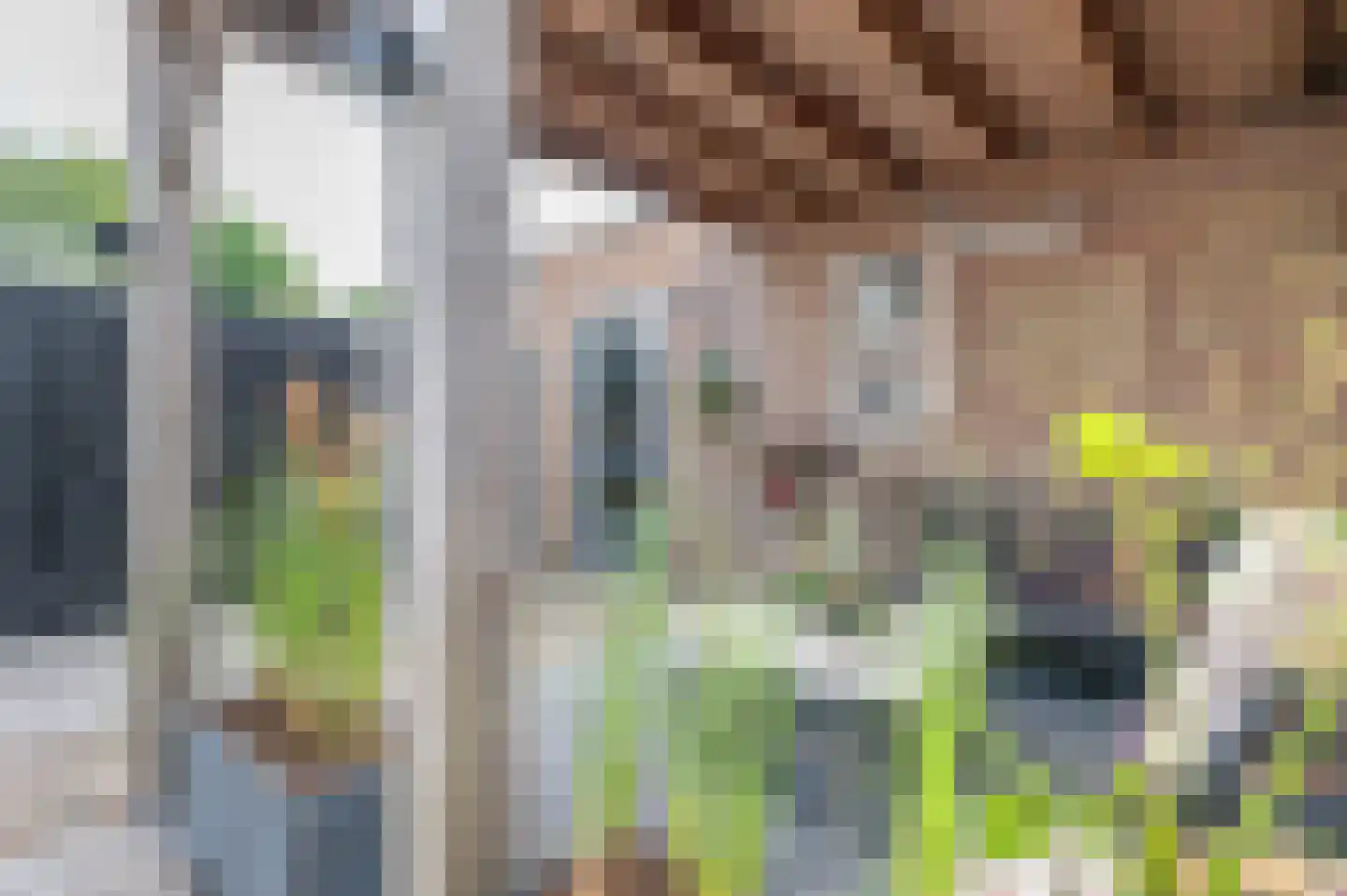 van Lennepstraat 40 Putten thumbnail 42