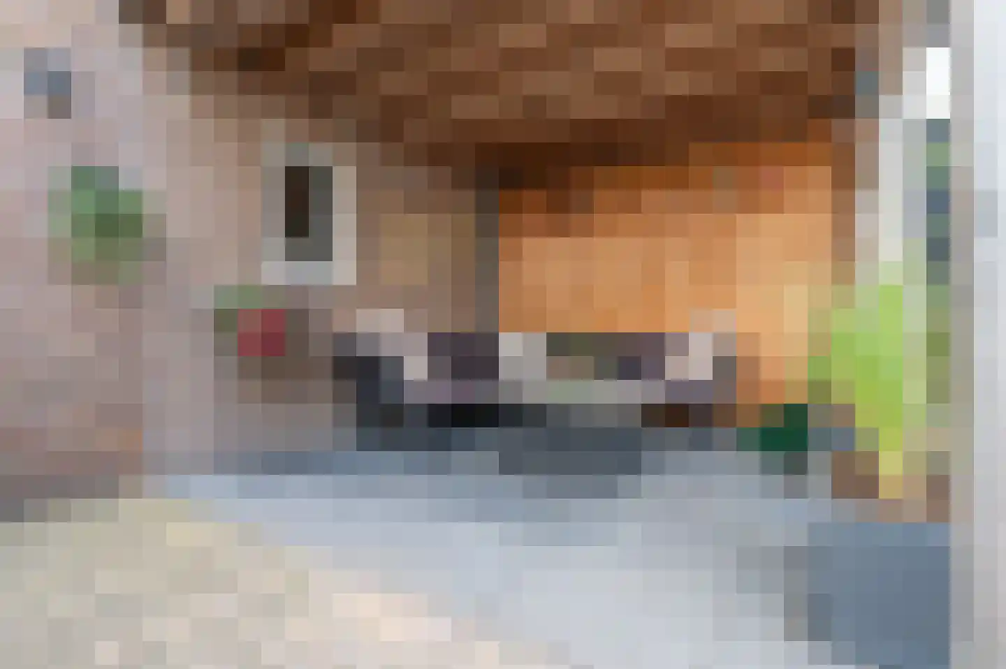 van Lennepstraat 40 Putten thumbnail 43