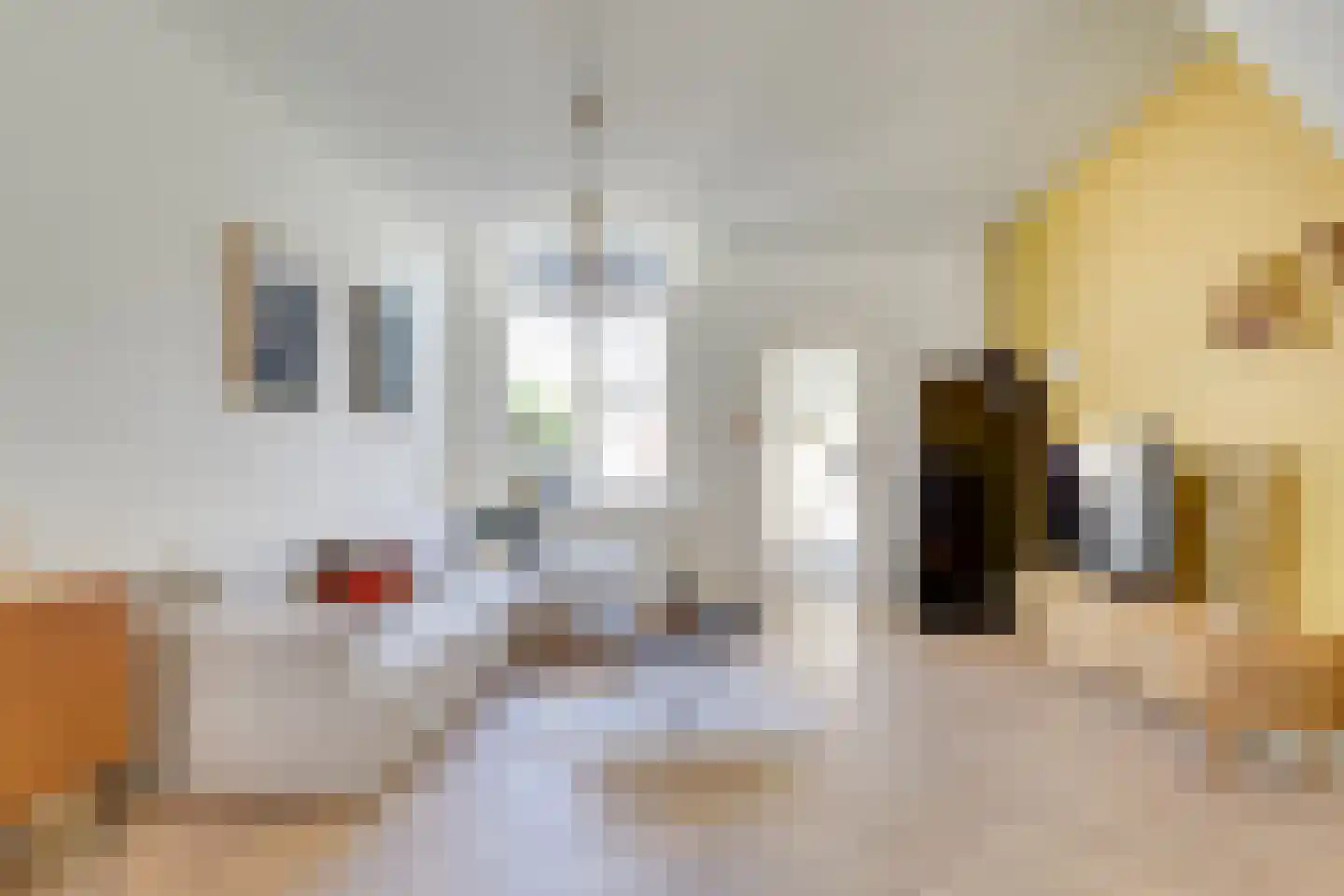 Van Lennepstraat 43 Utrecht thumbnail 6