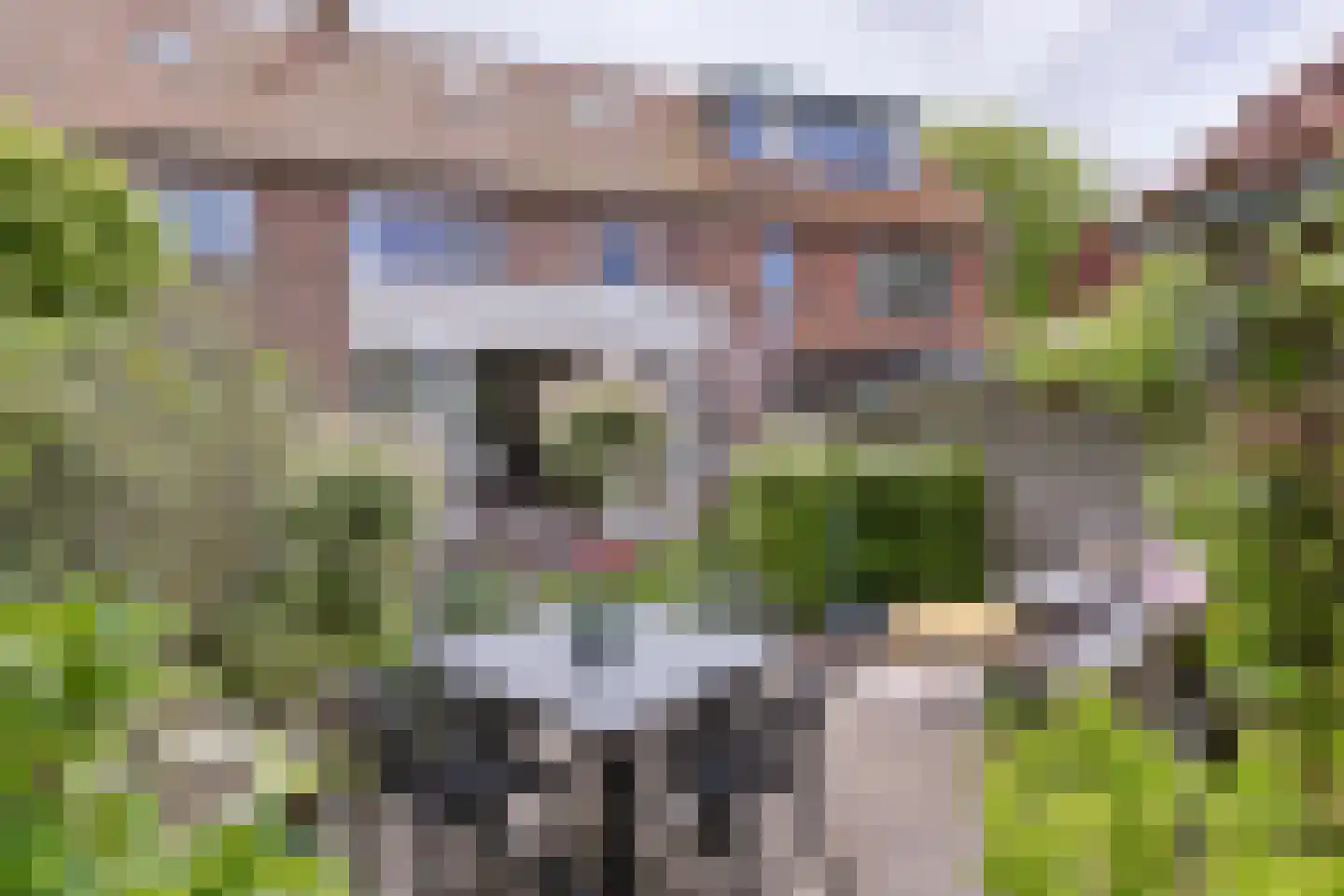 Van Lennepstraat 45 Alphen aan den Rijn thumbnail 38