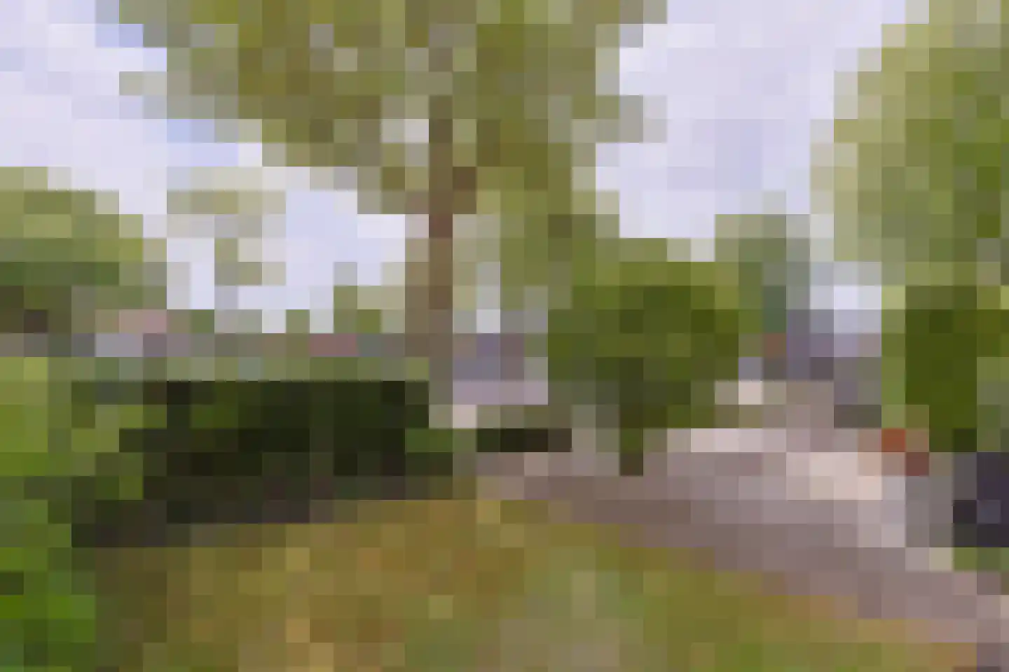 Van Lennepstraat 45 Alphen aan den Rijn thumbnail 4