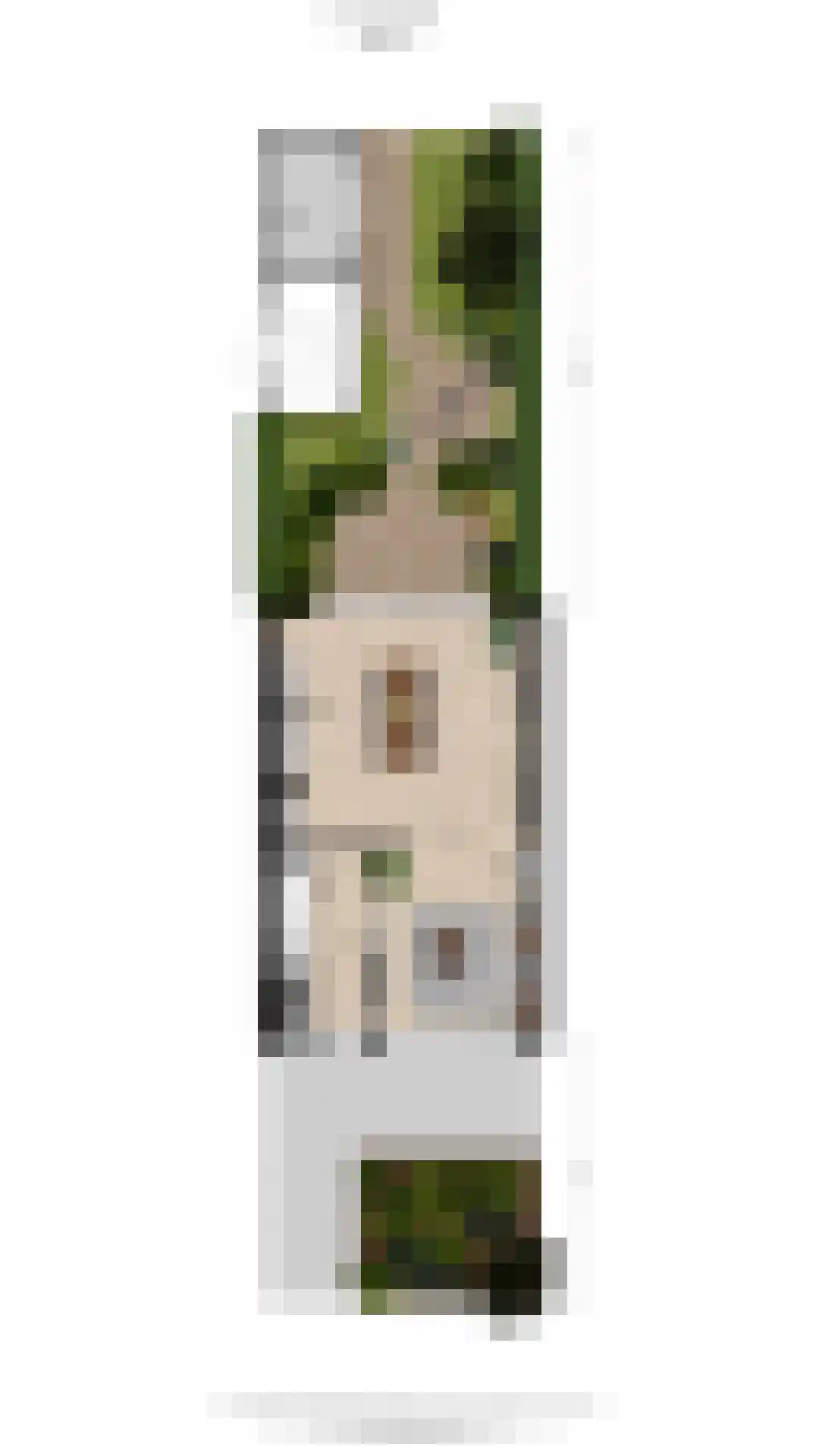 Van Lennepstraat 45 Alphen aan den Rijn thumbnail 42