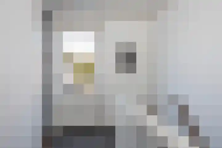van Lennepstraat 48 Hengelo thumbnail 17