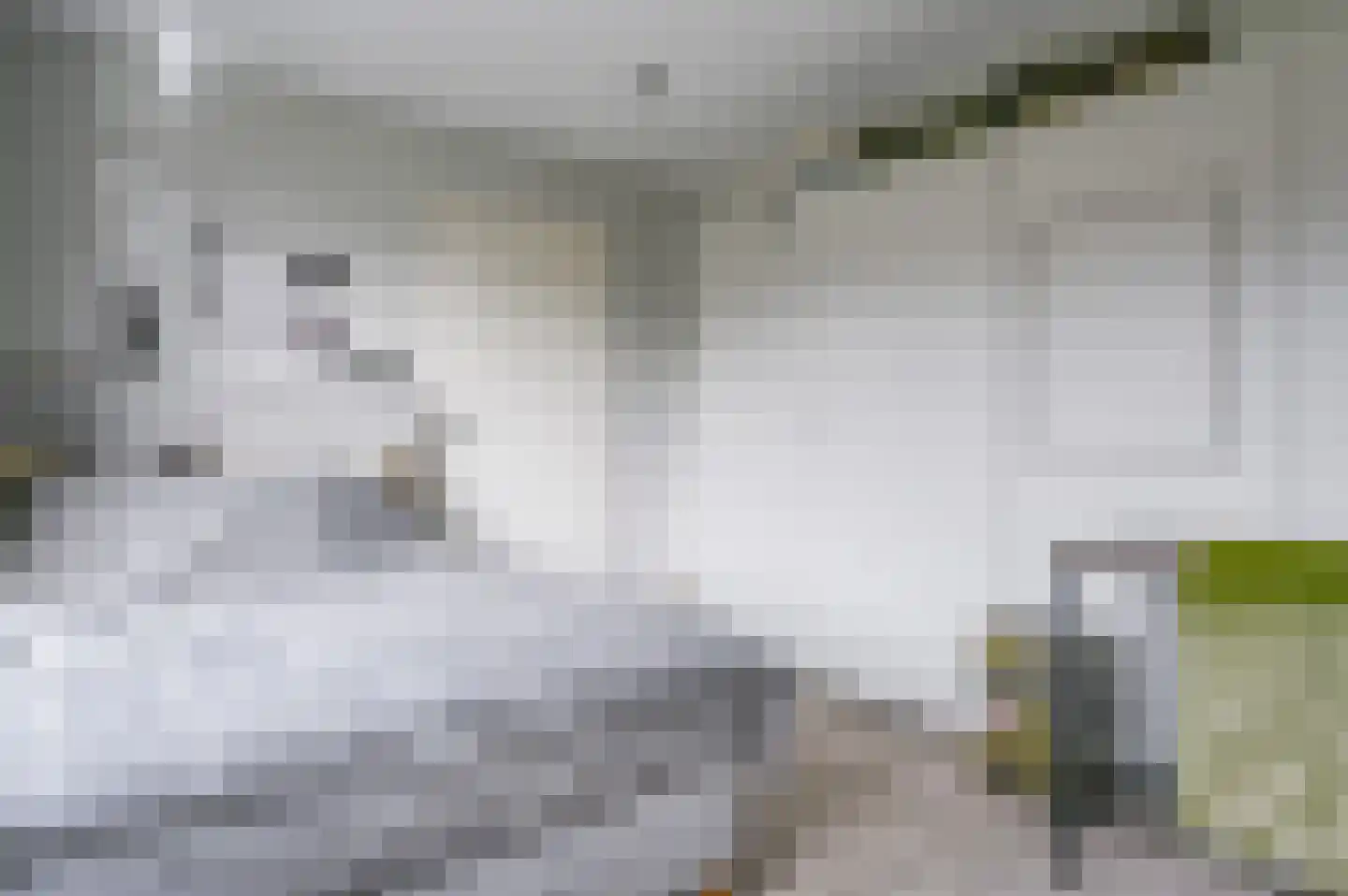 van Lennepstraat 57 Putten thumbnail 22