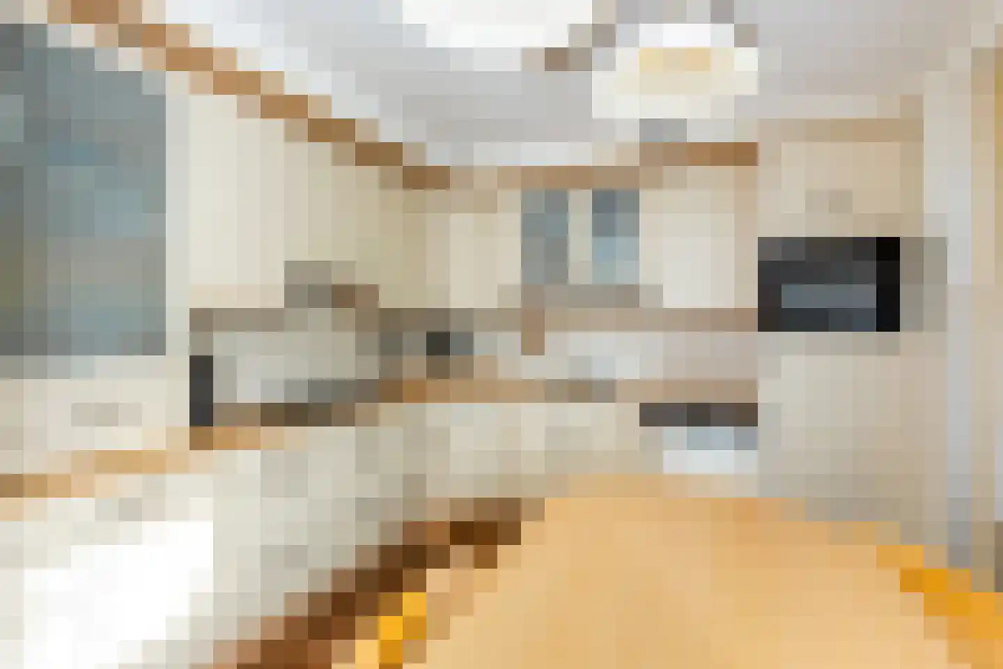 van Lennepstraat 66 Putten thumbnail 15