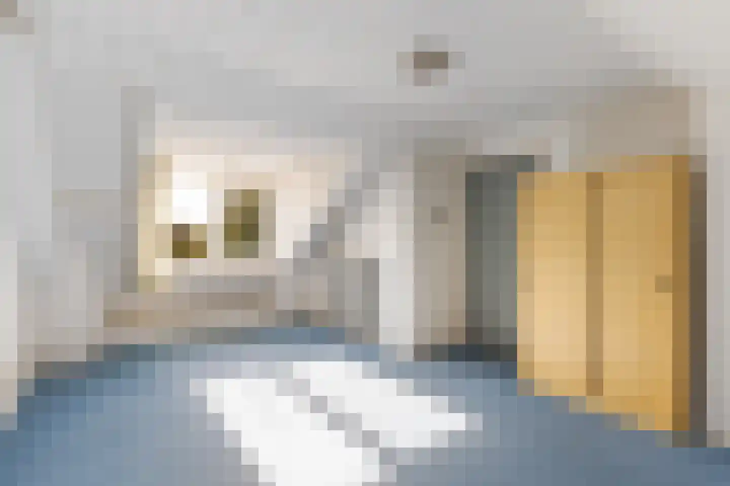 van Lennepstraat 66 Putten thumbnail 32