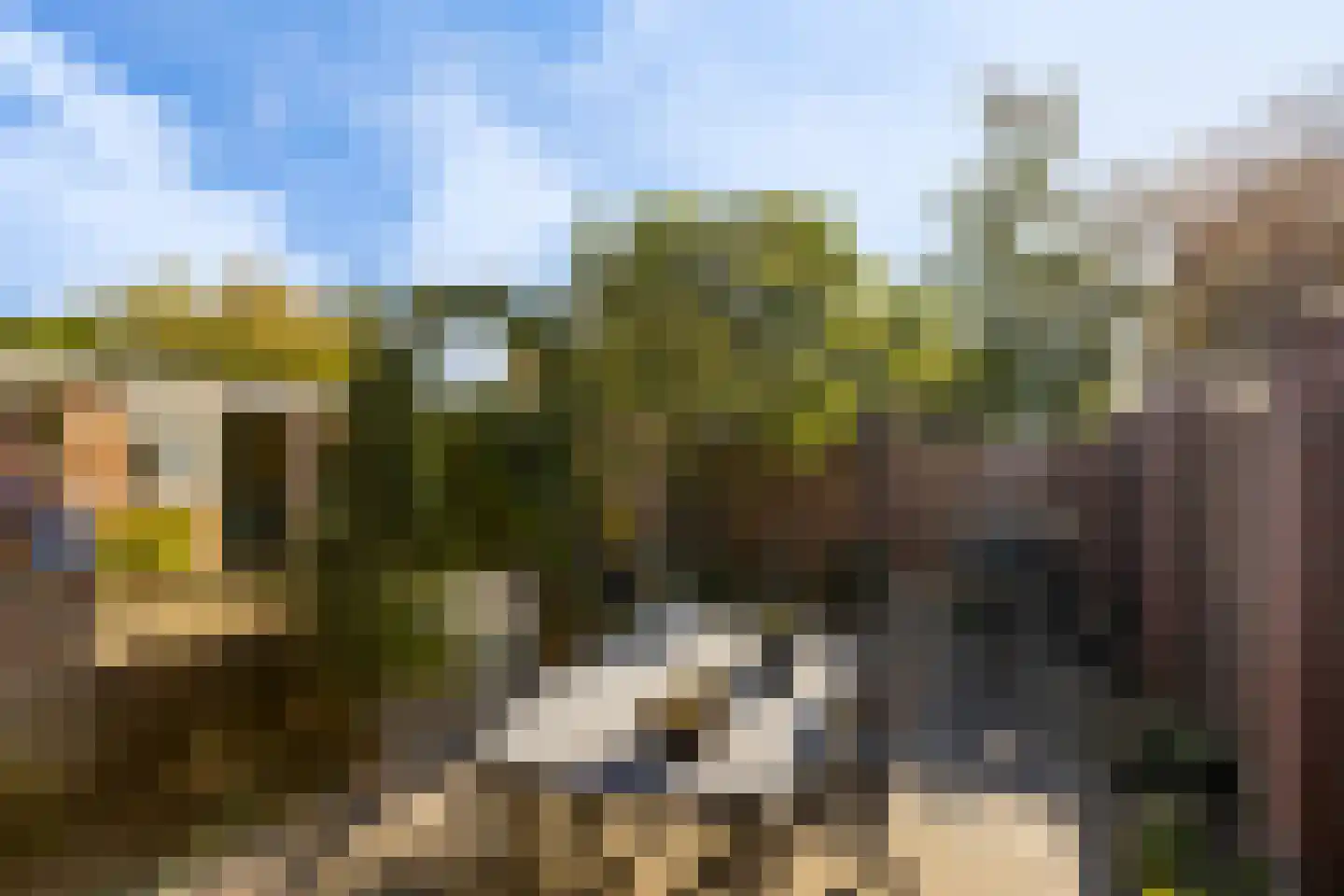 van Lennepstraat 66 Putten thumbnail 6