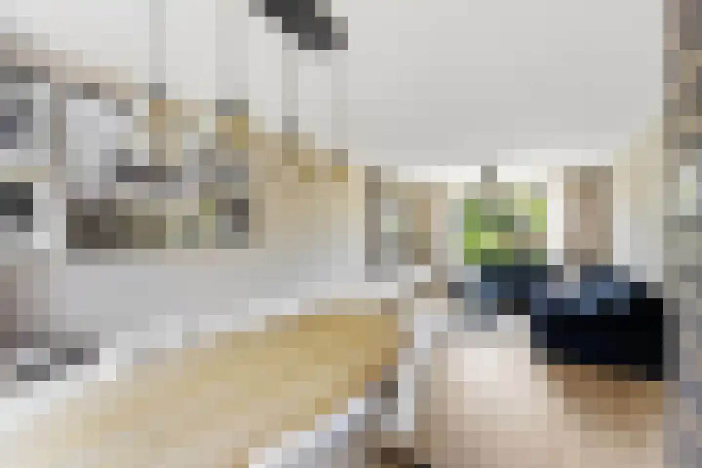 Van Lennepstraat 72 Alblasserdam thumbnail 7