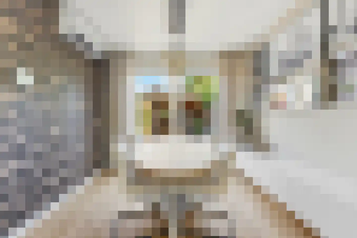 Van Lennepstraat 72 Alblasserdam thumbnail 9