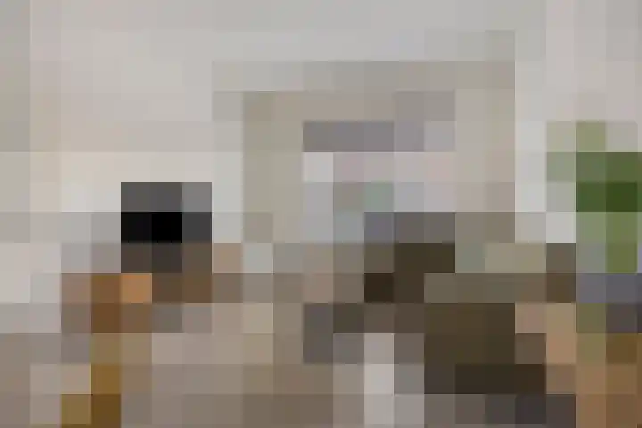 Van Lennepstraat 79 Alphen aan den Rijn thumbnail 8