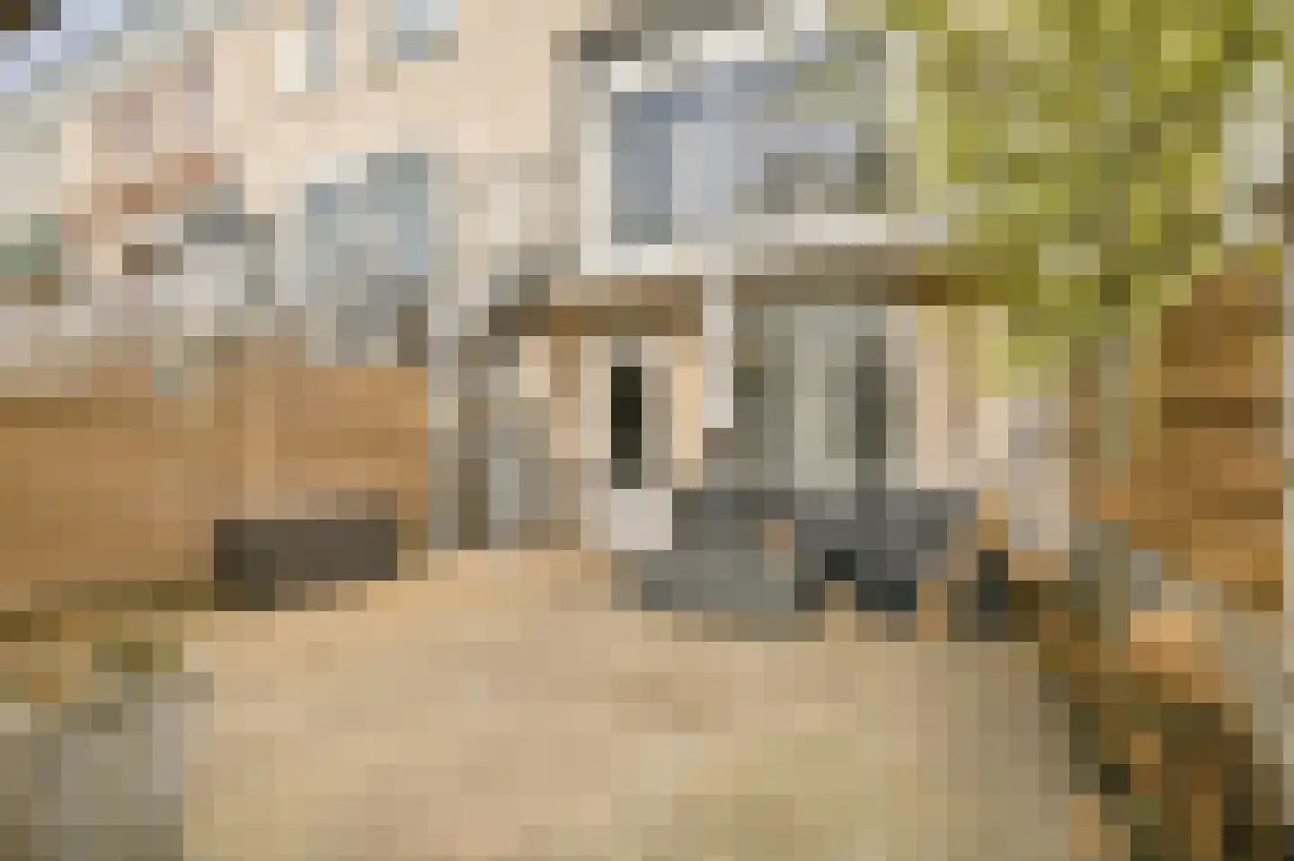 van Lennepweg 145 Zandvoort thumbnail 28