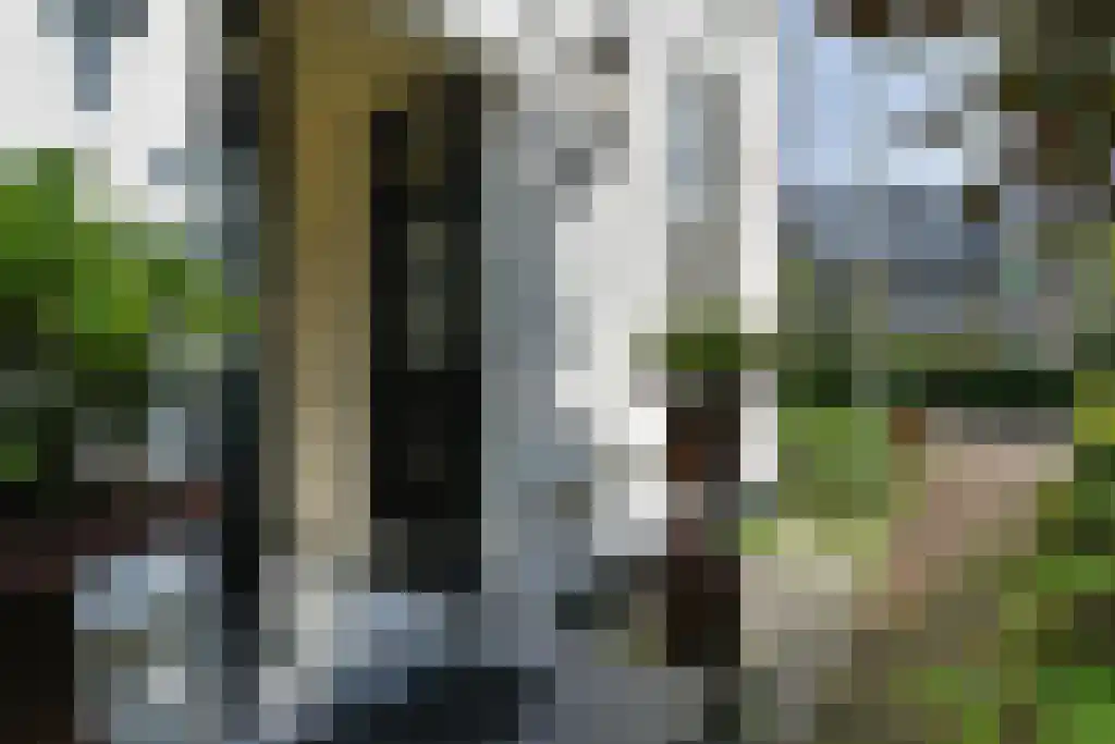 Van Lennepweg 22 Den Haag thumbnail 10