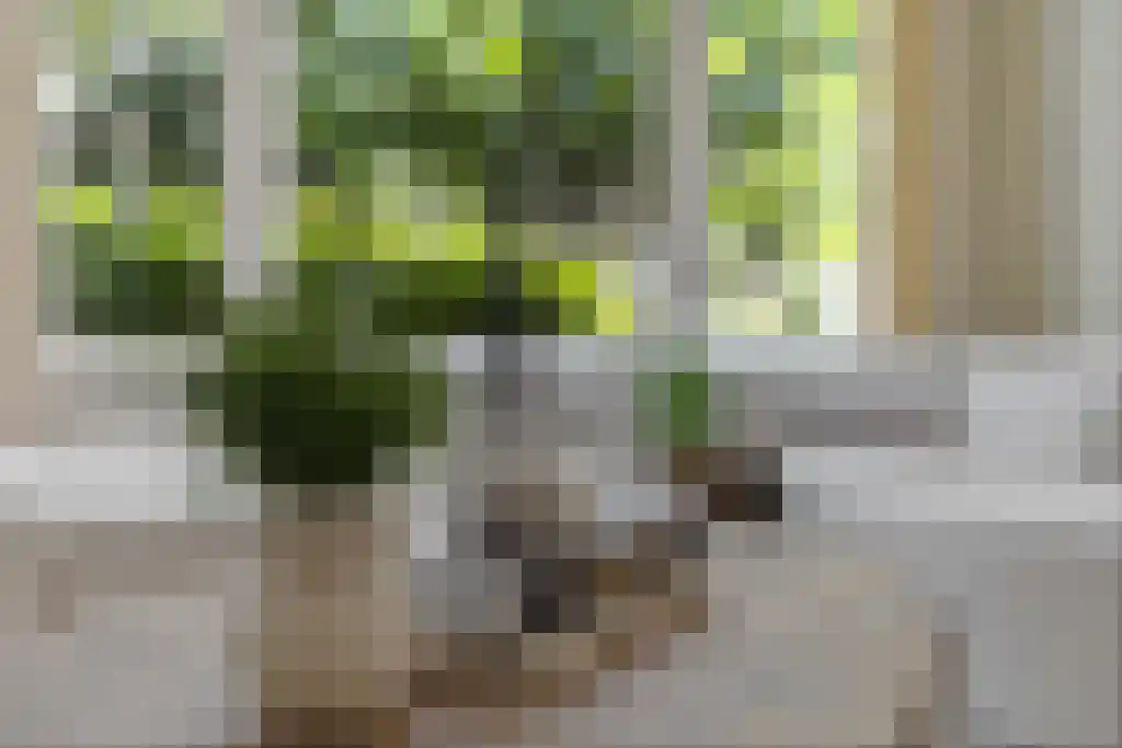 Van Lennepweg 22 Den Haag thumbnail 14