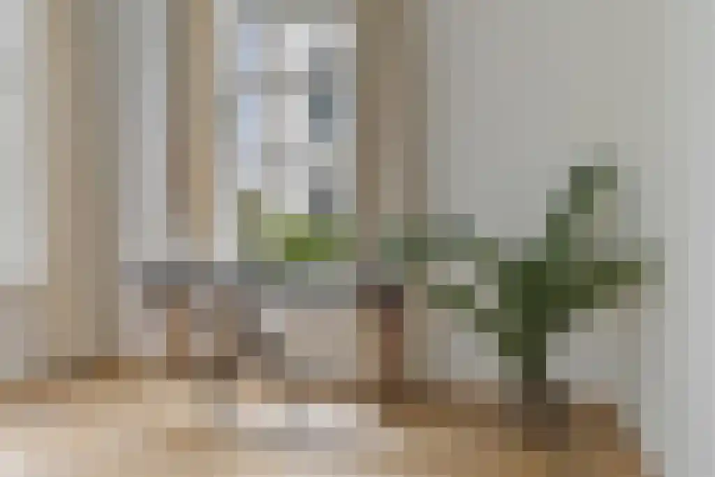 Van Lennepweg 22 Den Haag thumbnail 15