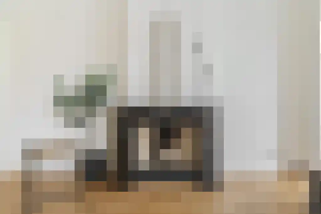 Van Lennepweg 22 Den Haag thumbnail 18