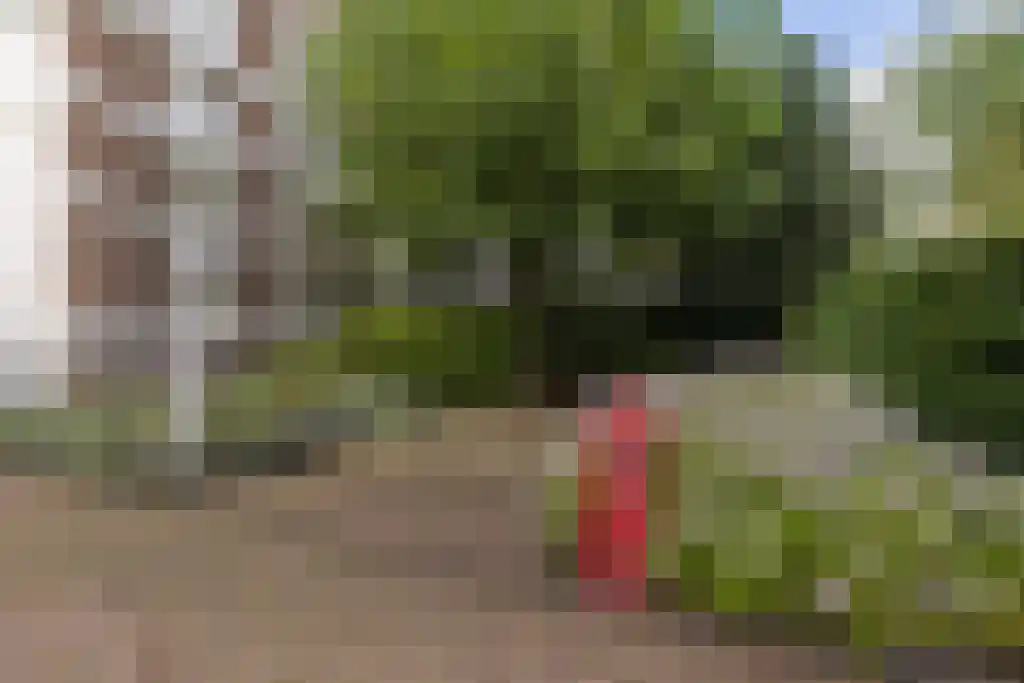 Van Lennepweg 22 Den Haag thumbnail 64